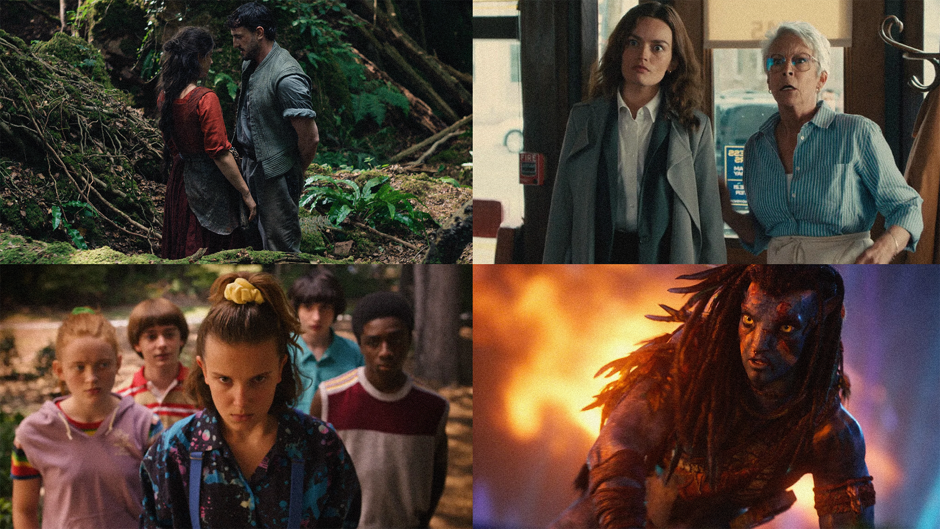 cold days, bright gems: cinema & series to cosy up with this season